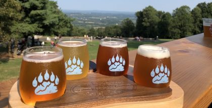 bear chase brewing