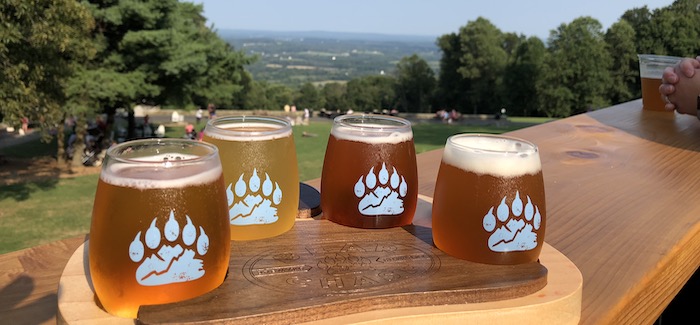 bear chase brewing