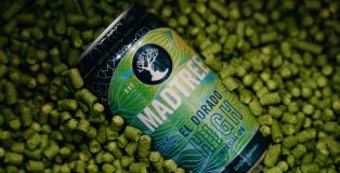 MadTree Brewing El Dorado High