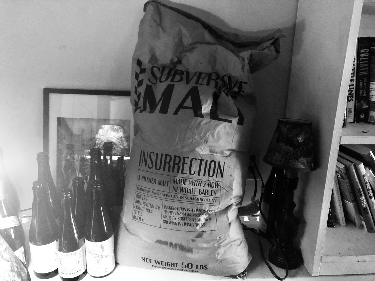 Subversive Malting and Brewing