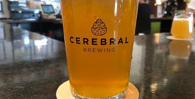 Cerebral Brewing | Character Reference Foeder Vienna Lager