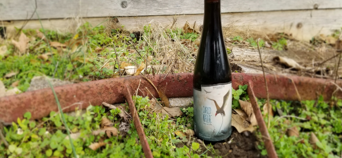 Roughhouse Brewing Sordid Nature Dark Saison 