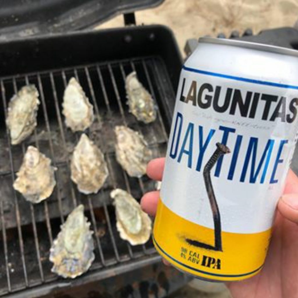 Lagunitas DayTime