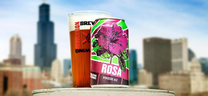 New Chicago Revolution Brewing Craft Beer 4 Glass Set Summer Rosa Hibiscus Ale 