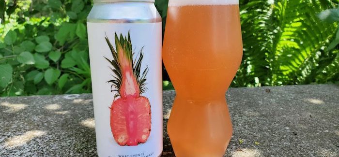 Evil Twin Pink Sour IPA