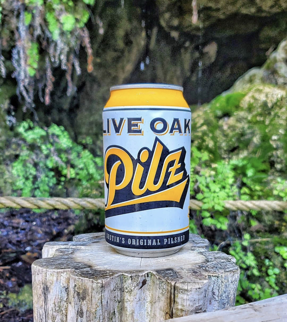 Live Oak Pilz