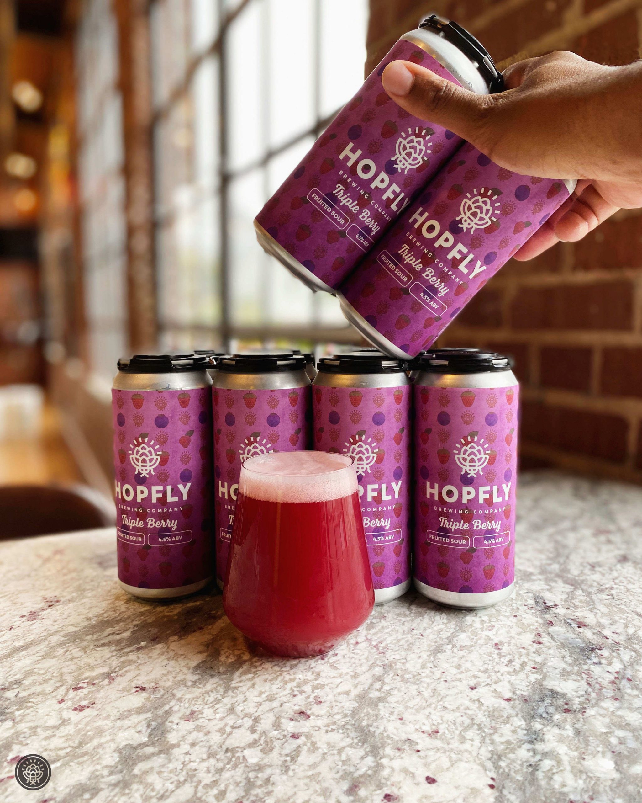 Hopfly Brewing | Triple Berry Fruited Sour