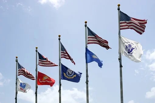 Veteran's Day Flags