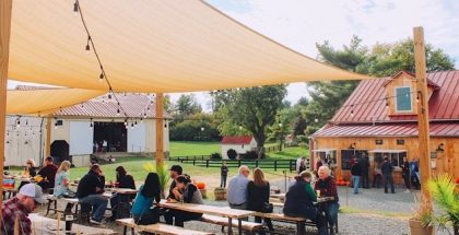 Patrons enjoying Wheatland Spring Farm + Brewery