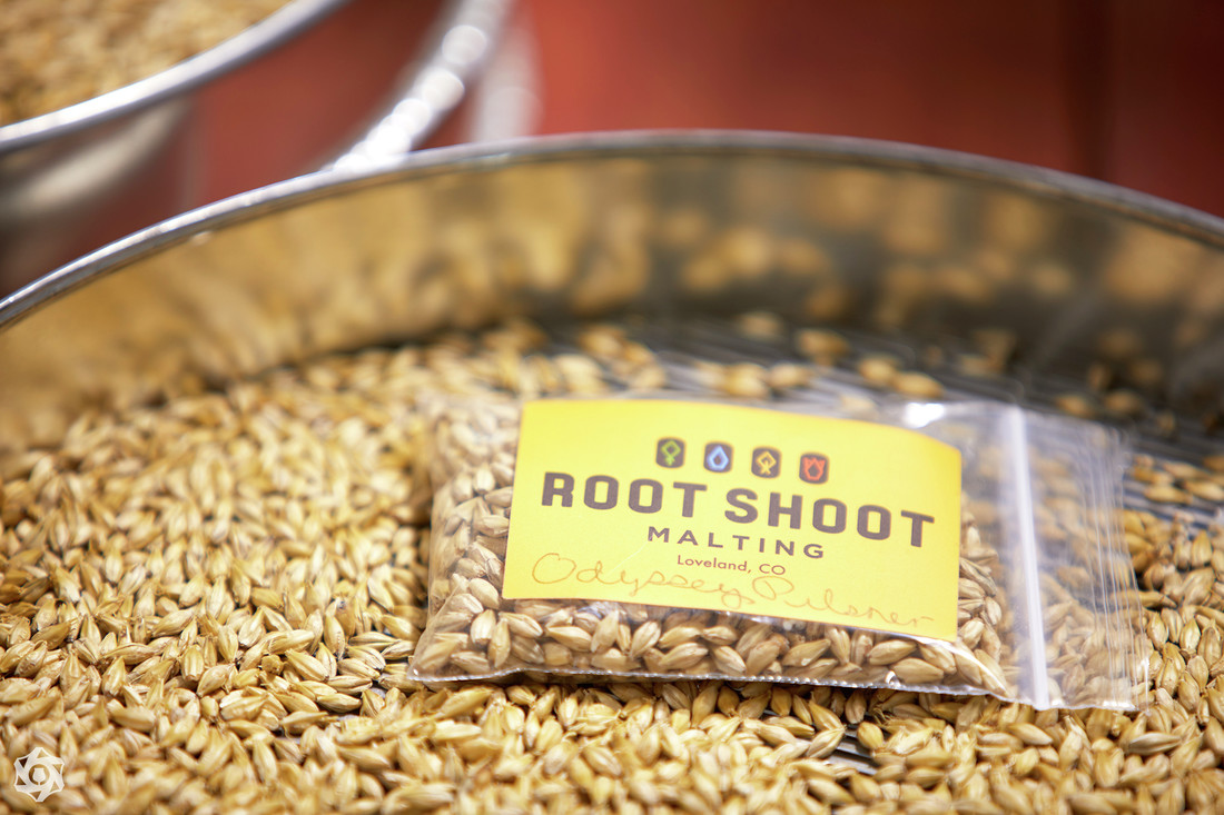 Root Shoot Malting