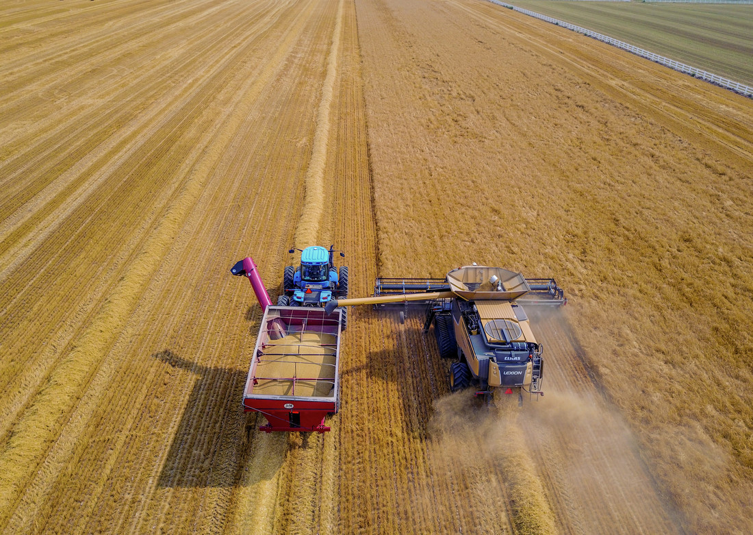 Root Shoot Malting