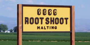 Root Shoot Malting