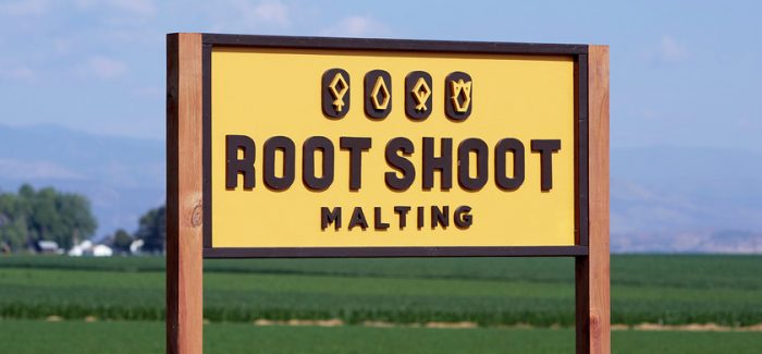 Root Shoot Malting