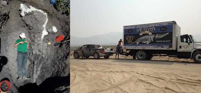 great basin brewing company dig site