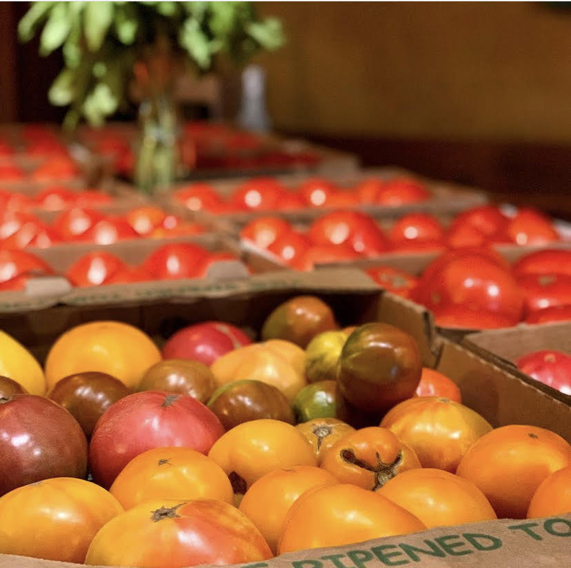 Organic heirloom tomatoes from Terra Bella for sale at Broadway Brewing