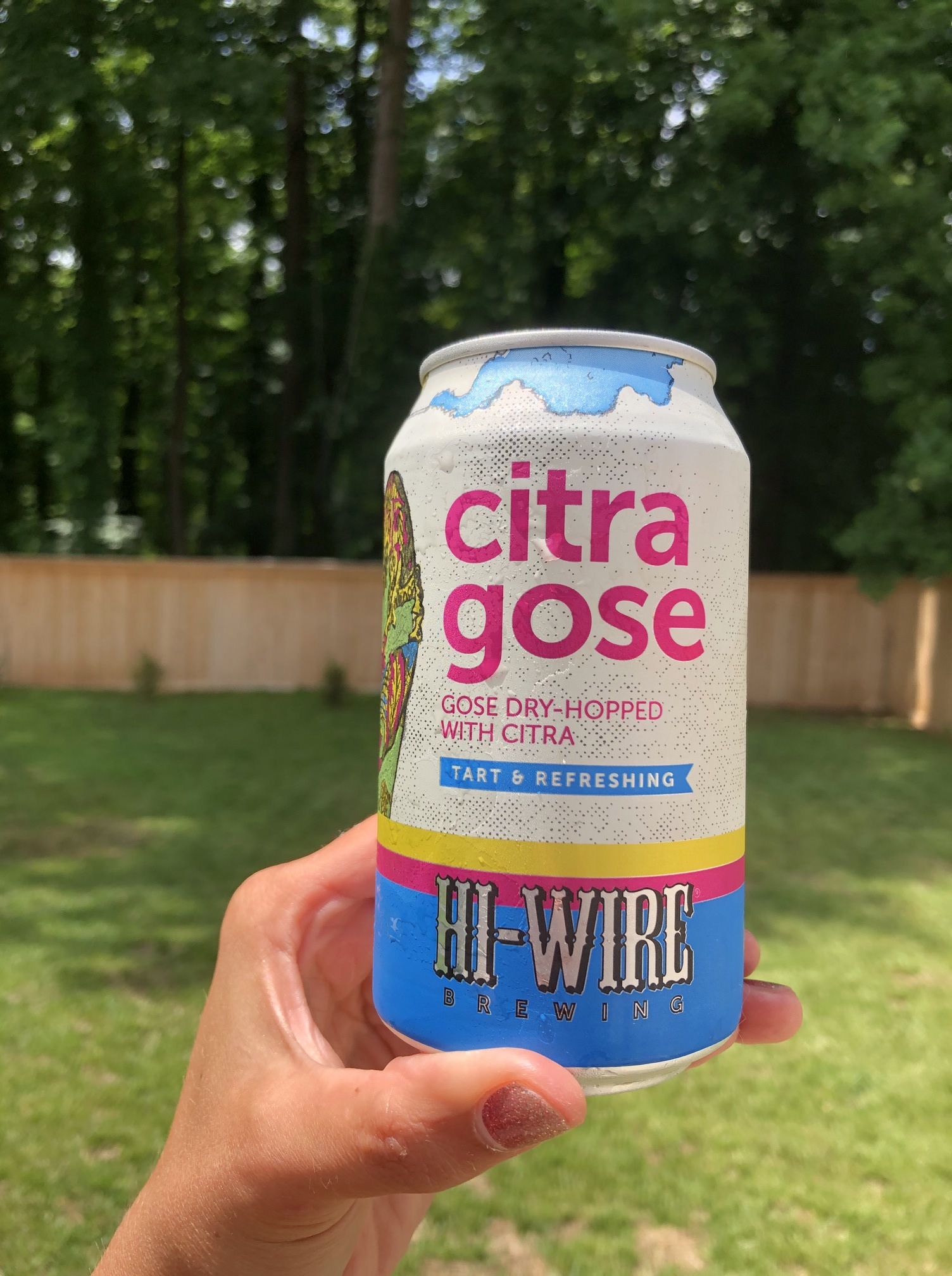 Hi-Wire Citra Gose