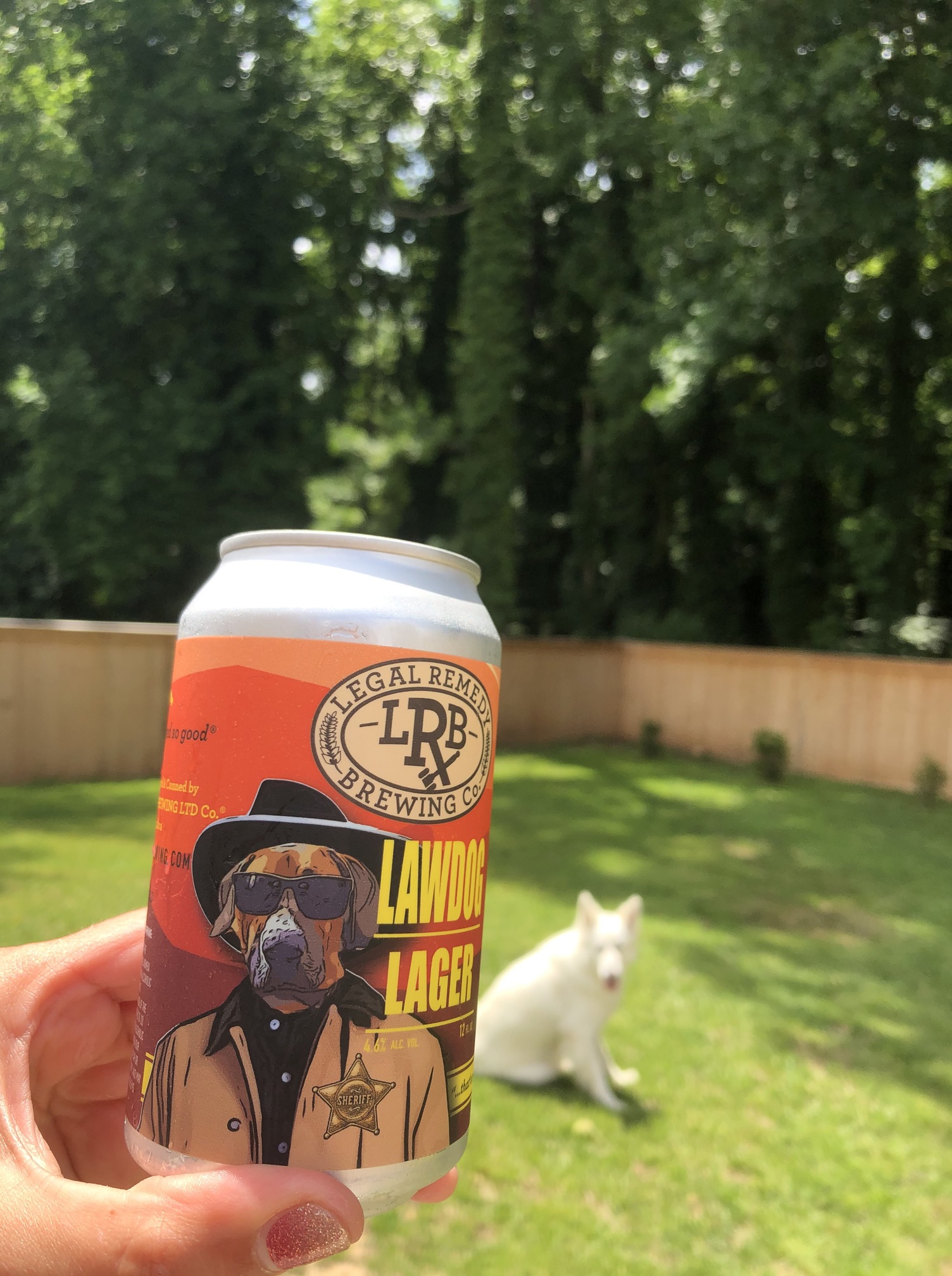 Legal Remedy Lawdog Lager