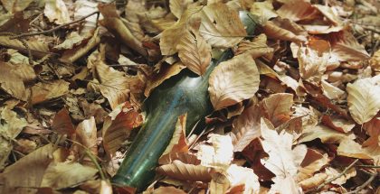 Abandoned Beer Bottle