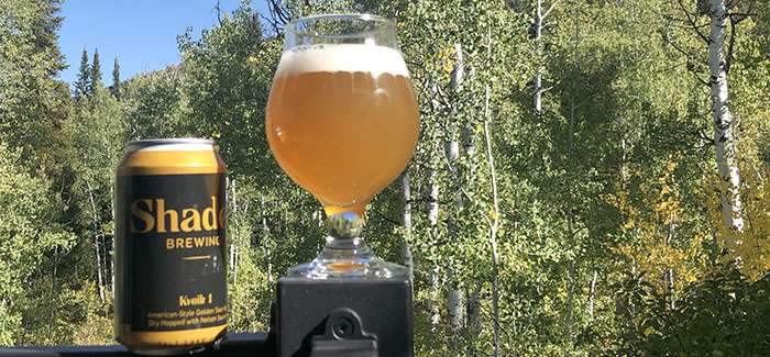 Shades Brewing | Kveik 1 American-Style Golden Sour Ale