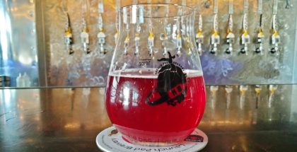 Fruited sour beer