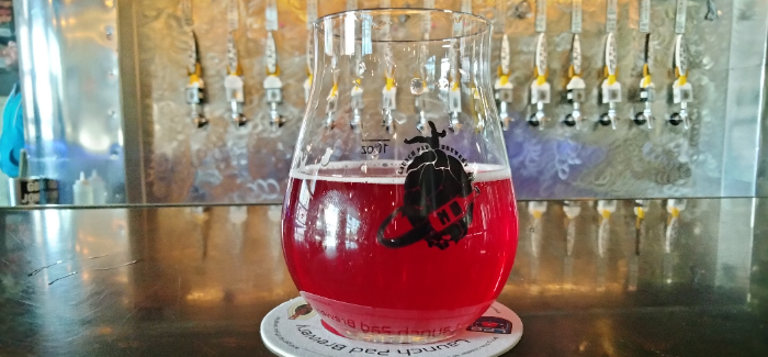 Fruited sour beer