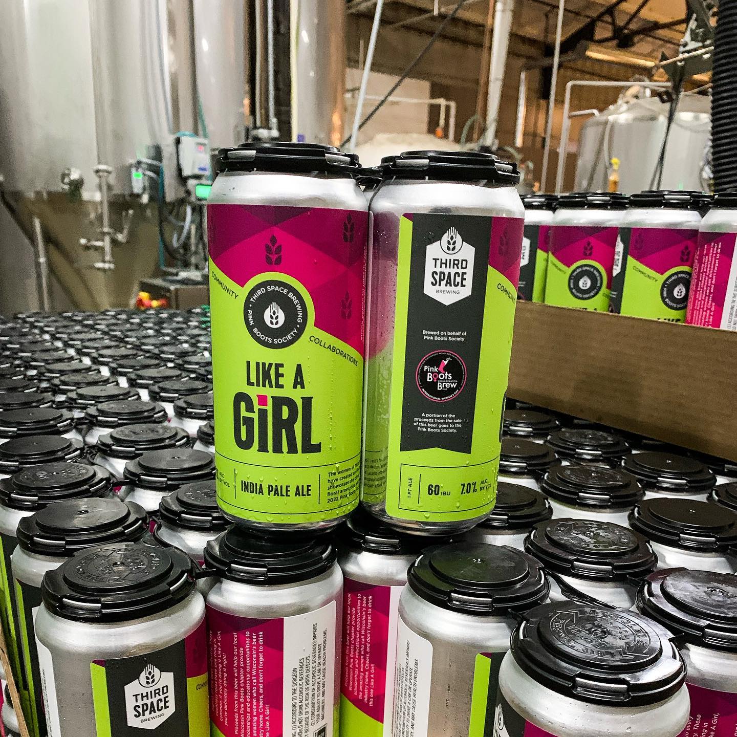 A stack of freshly-canned Like A Girl IPA at Third Space Brewing