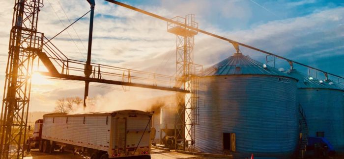 craft malting