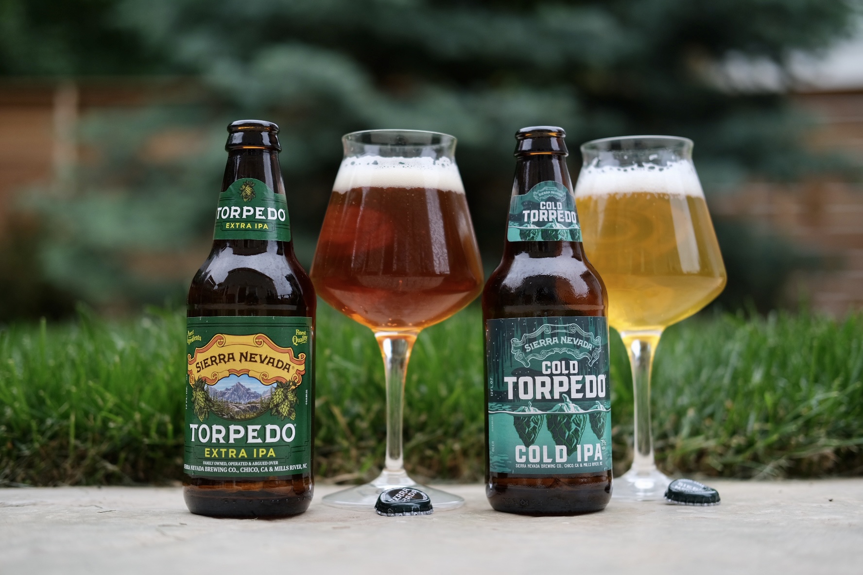 Sierra Nevada Cold Torpedo Brands