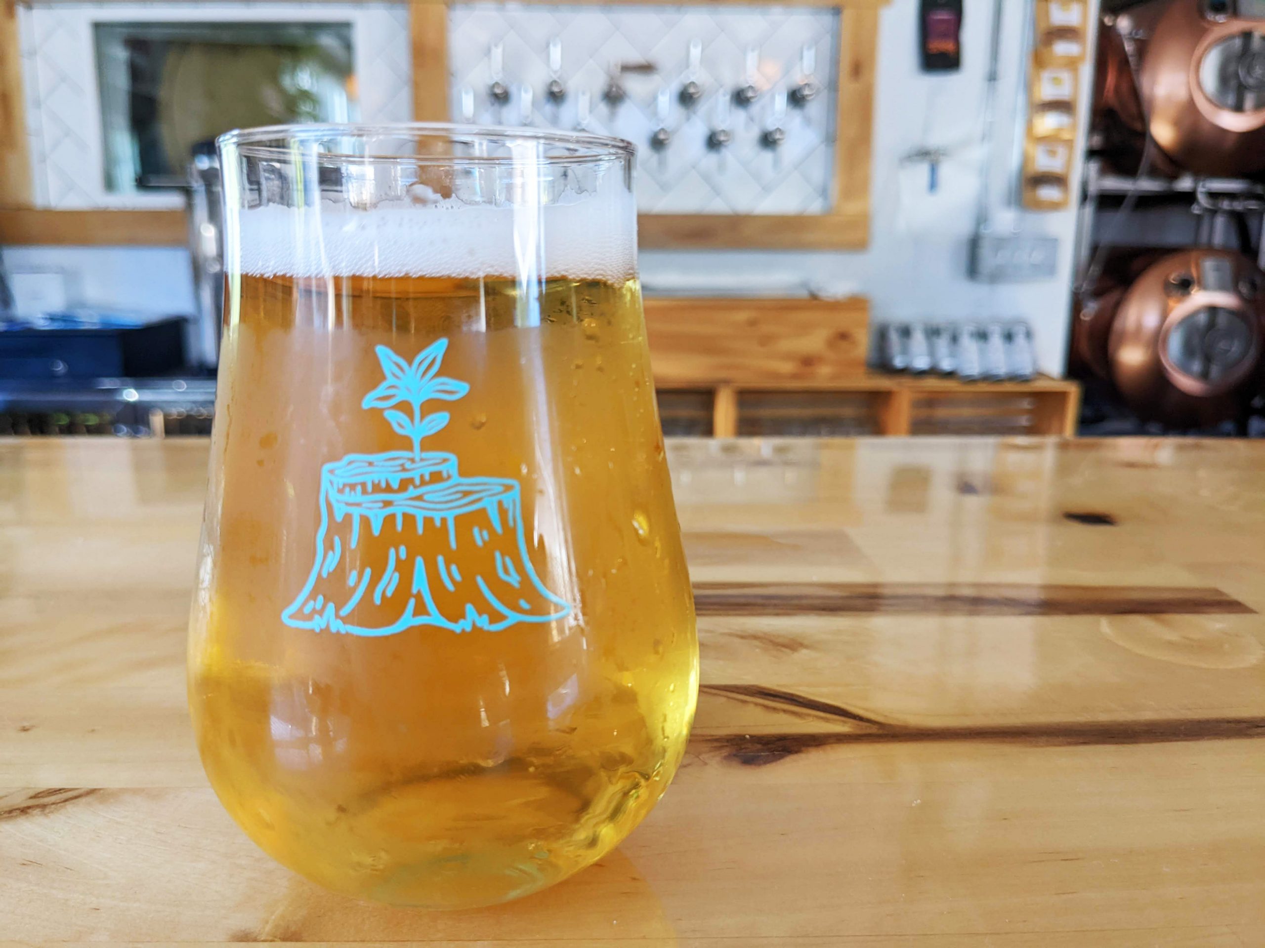 Beer on the bar in a brewery taproom