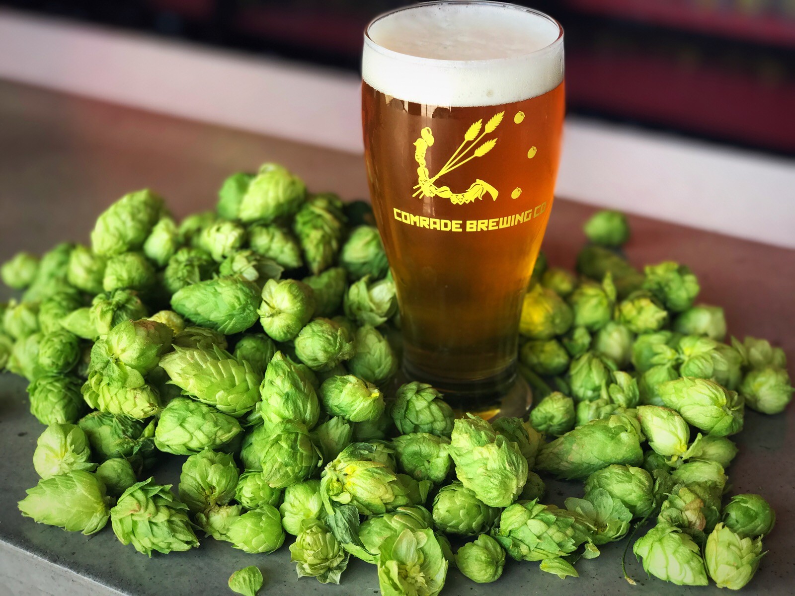 Fresh hop Superpower IPA