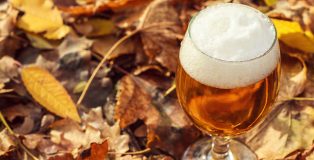 Fall Beer Leaves