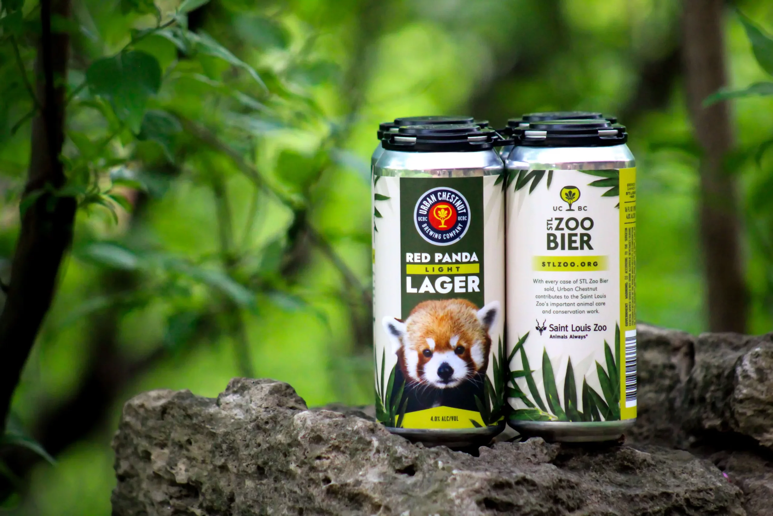Urban Chestnut releases new beer with Saint Louis Zoo | LaptrinhX / News