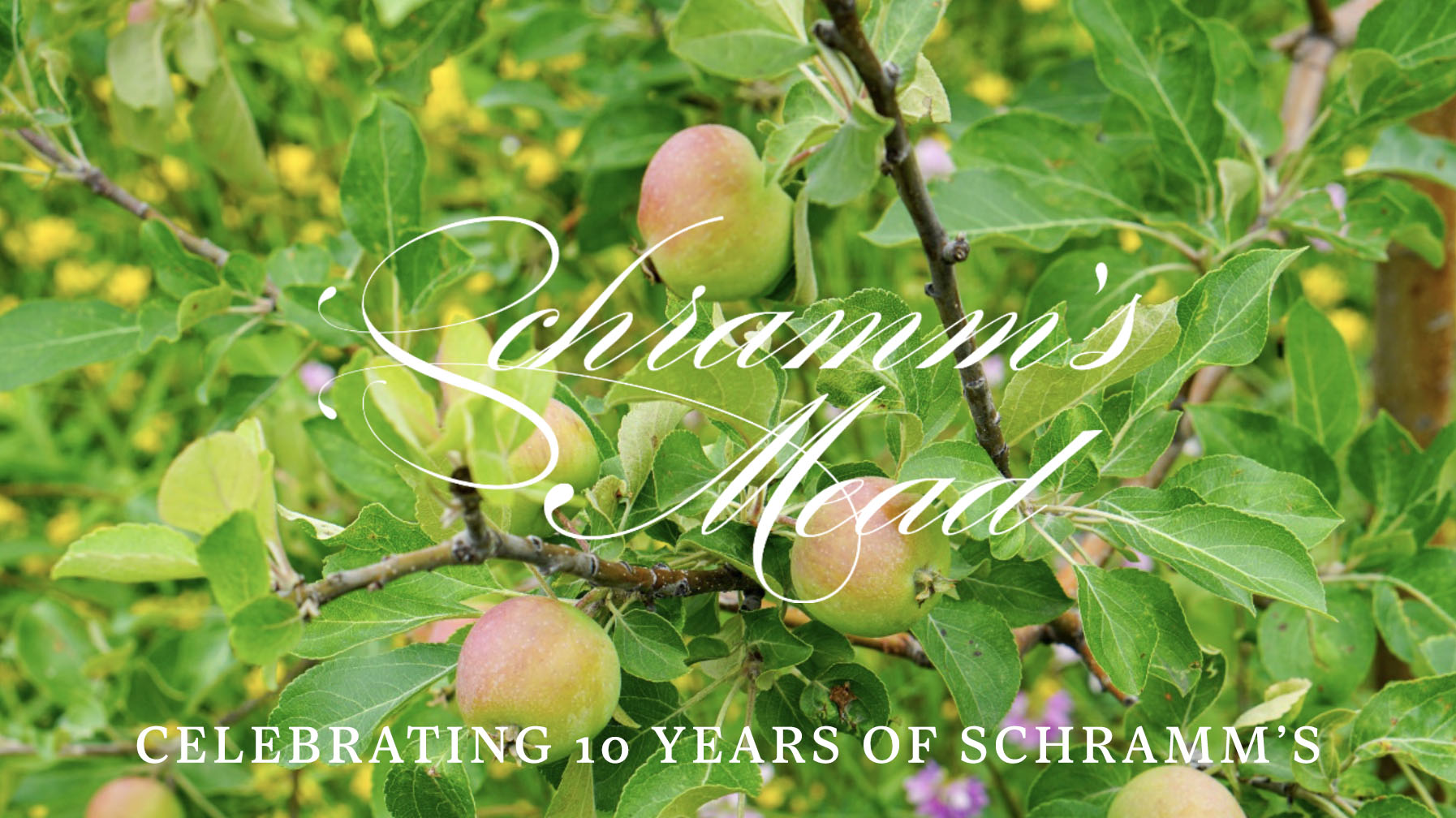 Focal Image for Schramm's Mead Anniversary