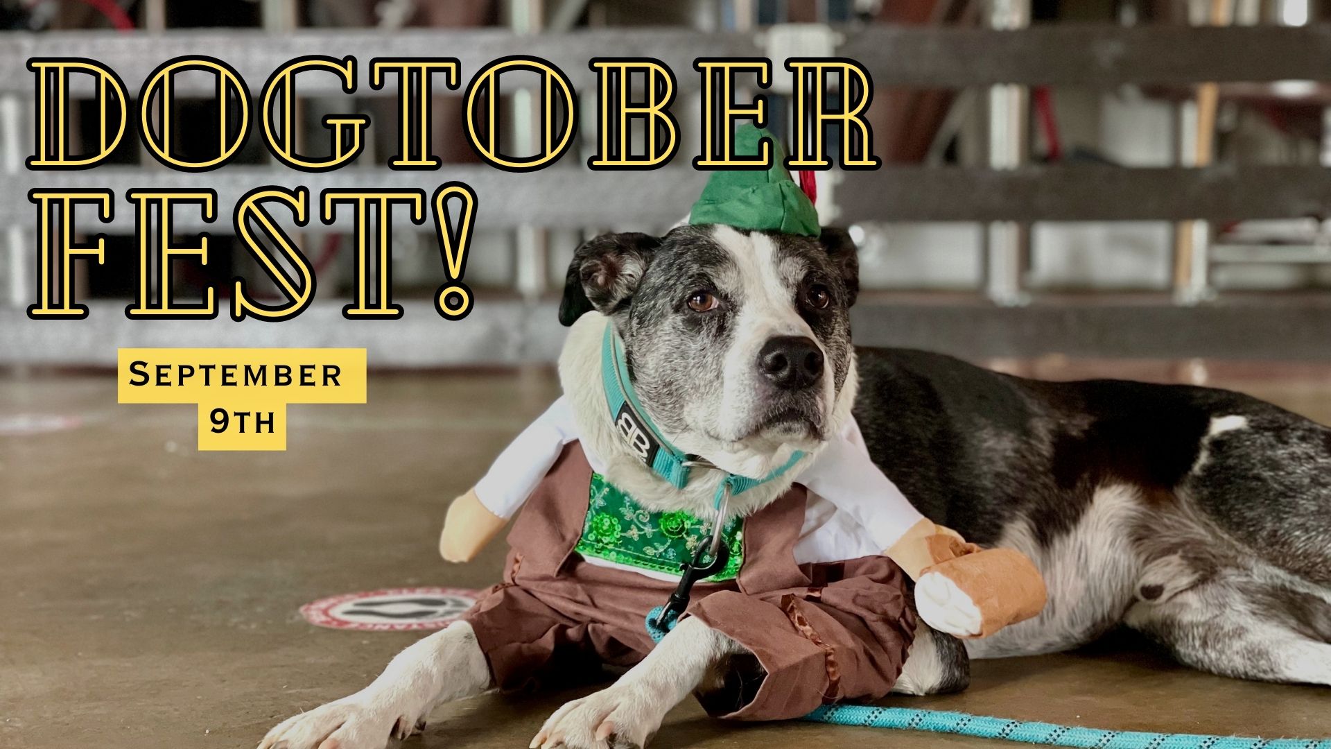 2023 River North DOGtoberfest