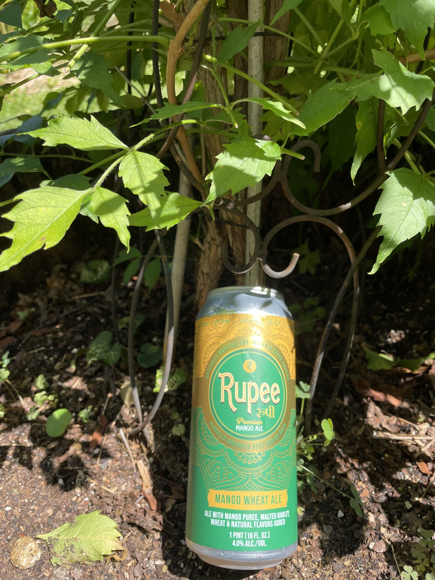 Rupee Beer Mango Wheat Ale