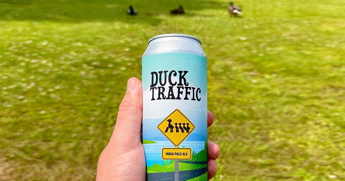 Kettlehead Duck Traffic