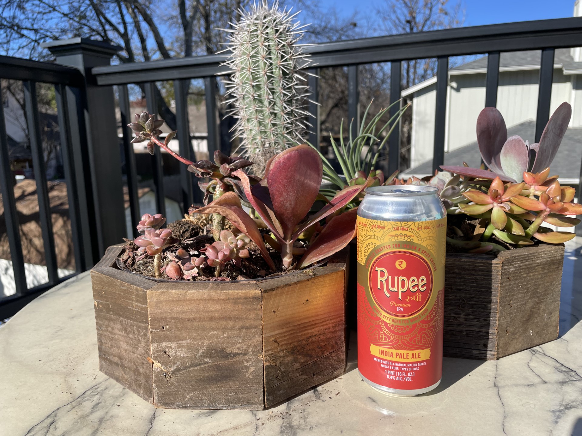 Rupee Beer IPA