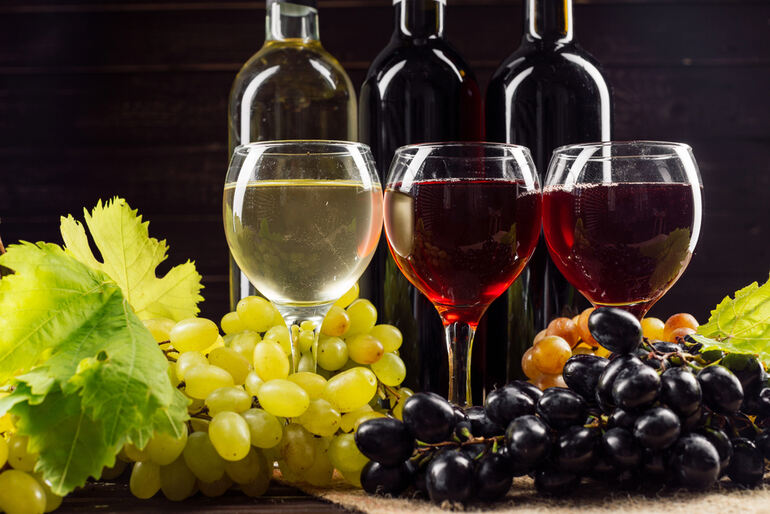 Three glasses of different Italian wines on a wooden table with black and green grapes